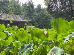 -宝光寺