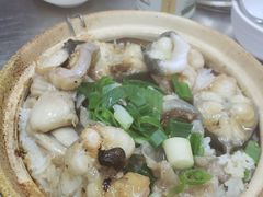 白鳝田鸡煲仔饭-兴记菜馆