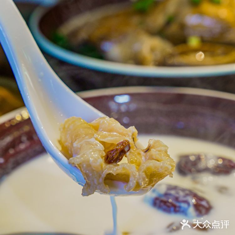 佛山探店💰28+吃花胶鱼翅❗平价宝藏粤菜