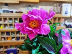 -今日陶艺(富力广场店)