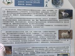 -青藏高原野生动物园