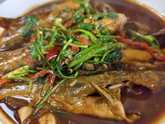-杨辉饭店