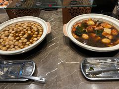 -齐河孔雀王温泉酒店·金孔雀自助百汇