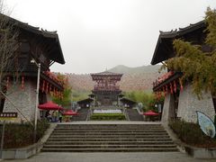 -大唐贡茶院