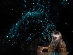 -怀托摩萤火虫洞