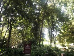 -成都市活水公园
