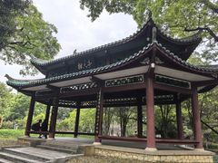 -柳侯公园
