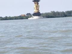 -溱湖国家湿地公园