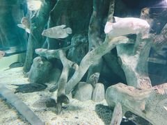 -福州罗源湾海洋世界旅游区