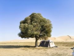 -亿利库布其七星湖沙漠生态旅游区