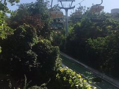 -富斯特索道
