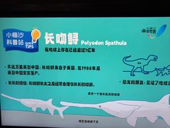 -福田卓悦INTOWN购物中心