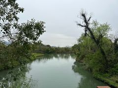 -西溪国家湿地公园