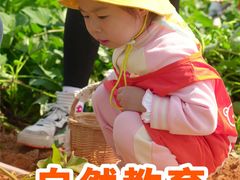 -魔力熊儿童早教托育中心(硚口同馨店)