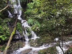 -江西阳明山国家森林公园