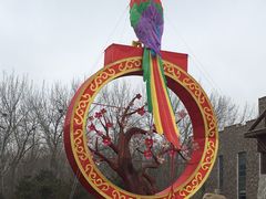 -南宫五洲植物乐园