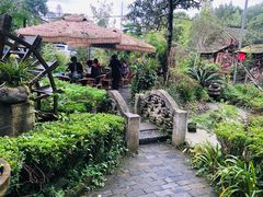 -青城甲(青城山店)