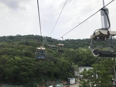 -富斯特索道