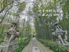 -云栖竹径