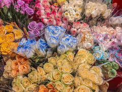 -循礼门鲜花花市(武汉循礼门店)