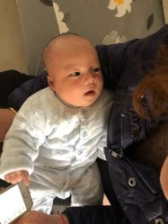 -龙文宝贝上门婴儿理发满月剃胎毛(总店)