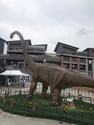 -恐龙探索乐园(磁器口店)