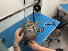 -宠颐生中康贝怡动物医院