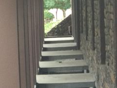 -武清南湖绿博园