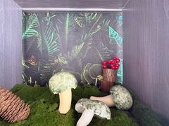-七采菌园·野生菌石锅鱼(环城北路店)