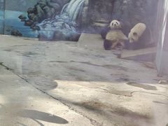 -鄂尔多斯野生动物园