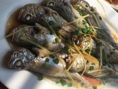 姜丝蒸狮头鱼-湛江海鲜餐厅