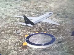 -德国汉莎航空公司