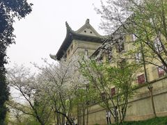 -武汉大学-樱园