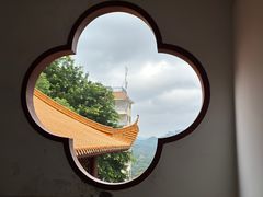 -深圳仙湖植物园