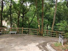 -广州市流溪河国家森林公园