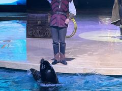 -哈尔滨波塞冬海底世界