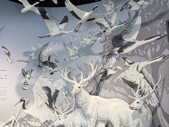 -中国湿地博物馆