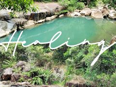 -广州白江湖森林公园