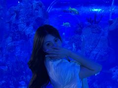 -石家庄海洋公园