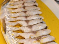 -食悦江南·淮扬菜·烤鸭(亚运村·惠新店)