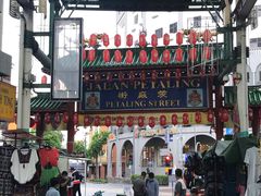 -罗汉果龙眼冰糖燉冬瓜