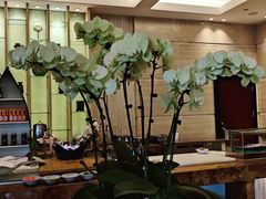 -浙江西子宾馆·瑶园咖啡厅