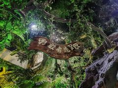 -泉城欧乐堡海洋极地世界