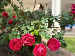 -人民公园(罗湖区)