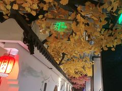 -食悦江南·淮扬菜·烤鸭(亚运村·惠新店)