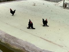 -水洞沟旅游区