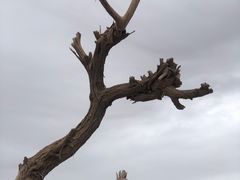 -敦煌古城
