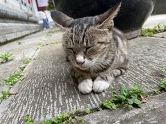-宝通禅寺