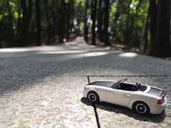 -火炉山森林公园