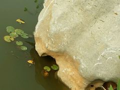 -武清南湖绿博园